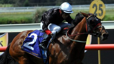 Hoops Tips for Bunbury Cup Day - 15th March